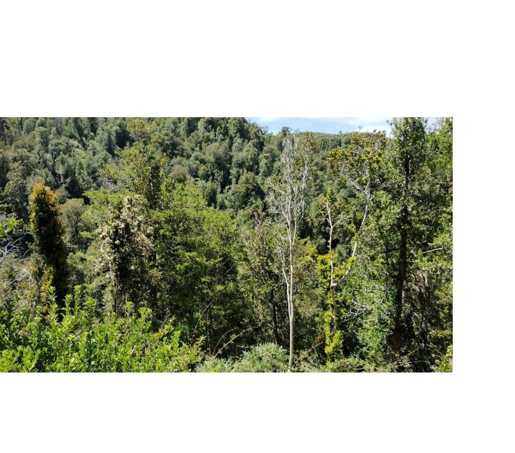 Parcelas en Venta Llanquihue Puerto Montt - Fotos de Vendo 103 Há en Estaquilla, Los Lagos