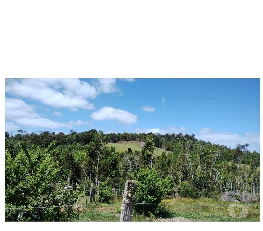 Parcelas en Venta Llanquihue Puerto Montt - Fotos de Vendo 103 Há en Estaquilla, Los Lagos