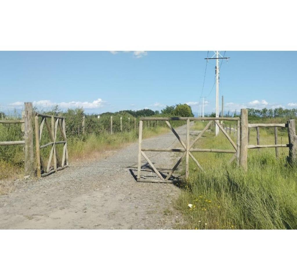 Parcelas en Venta Ñuble Chillán - Fotos de EN VENTA HERMOSAS PARCELAS DE 5.000 MTS2 CAMINO A COIHUECO