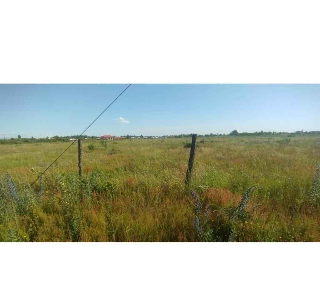 Parcelas en Venta Ñuble Chillán - Fotos de EN VENTA HERMOSAS PARCELAS DE 5.000 MTS2 CAMINO A COIHUECO