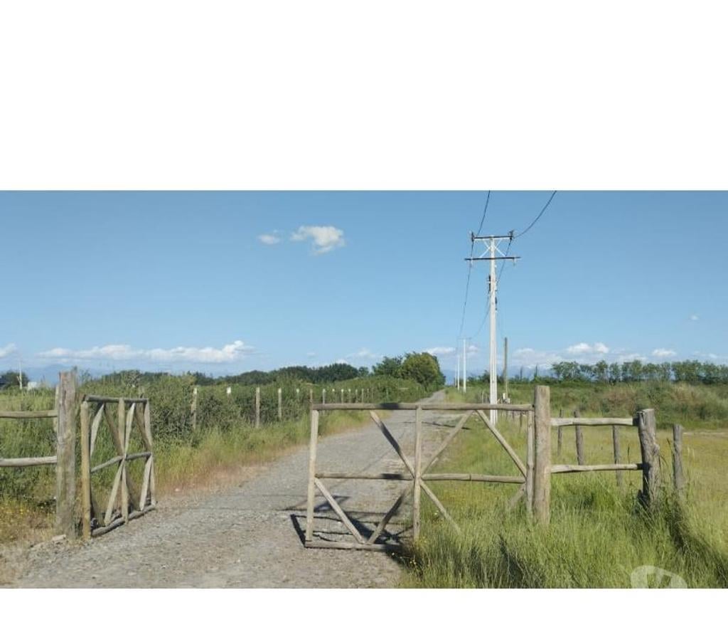 Parcelas en Venta Ñuble Chillán - Fotos de EN VENTA HERMOSAS PARCELAS DE 5.000 MTS2 CAMINO A COIHUECO