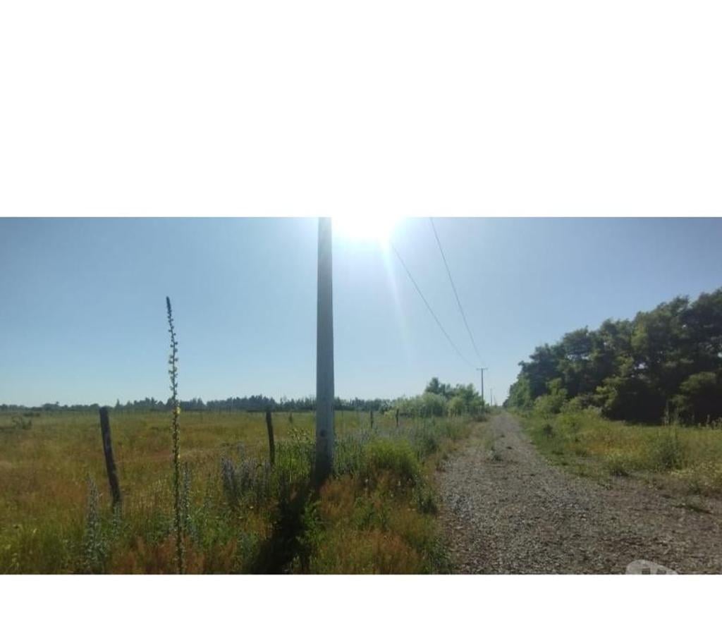 Parcelas en Venta Ñuble Chillán - Fotos de EN VENTA HERMOSAS PARCELAS DE 5.000 MTS2 CAMINO A COIHUECO