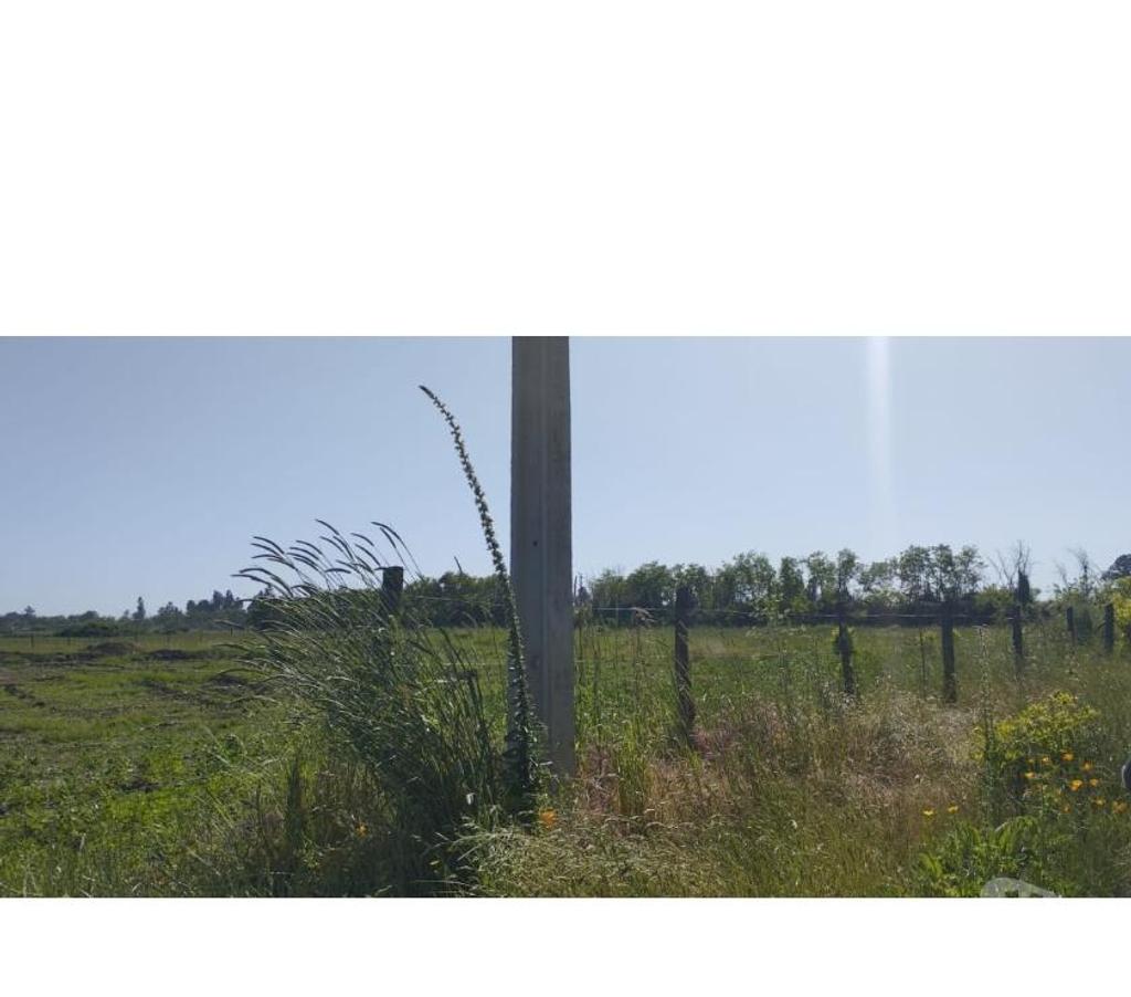 Parcelas en Venta Ñuble Chillán - Fotos de EN VENTA HERMOSAS PARCELAS DE 5.000 MTS2 CAMINO A COIHUECO
