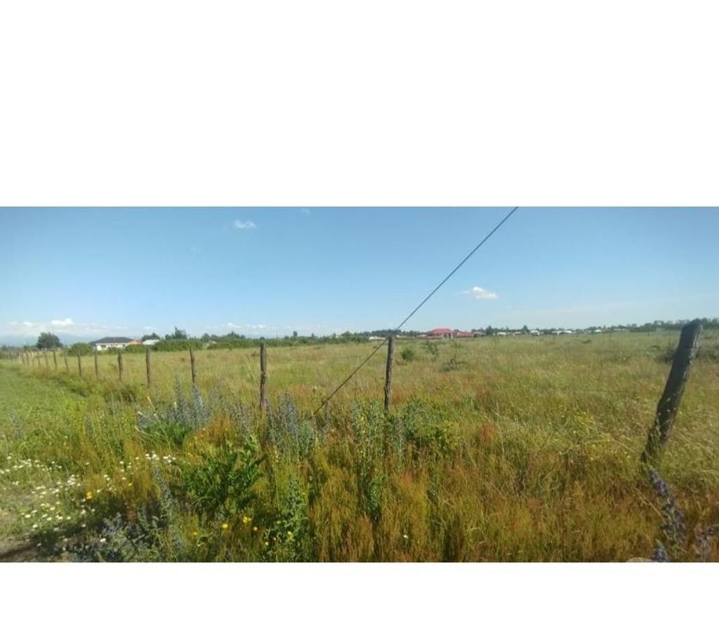 Parcelas en Venta Ñuble Chillán - Fotos de EN VENTA HERMOSAS PARCELAS DE 5.000 MTS2 CAMINO A COIHUECO