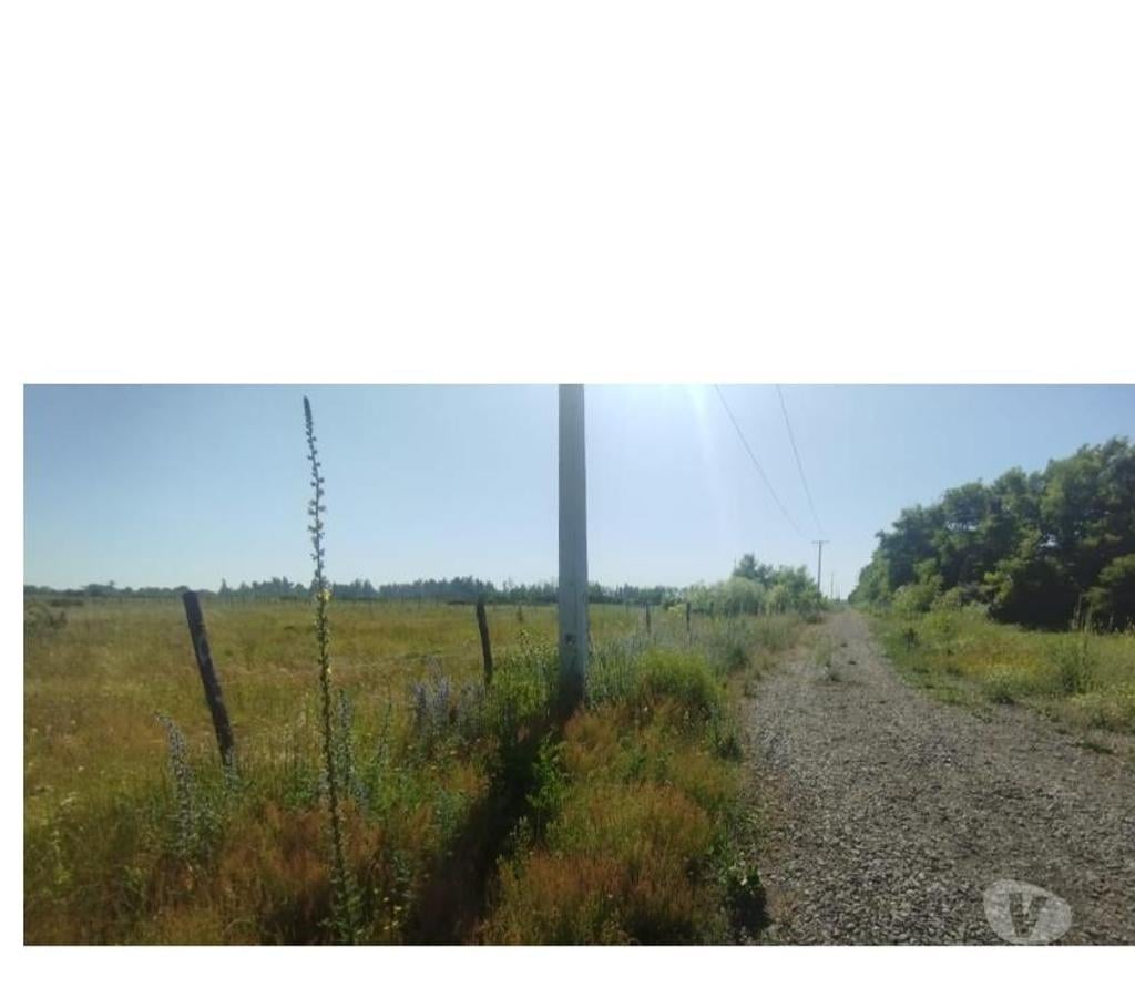 Parcelas en Venta Ñuble Chillán - Fotos de EN VENTA HERMOSAS PARCELAS DE 5.000 MTS2 CAMINO A COIHUECO