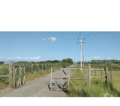 Terrenos en Venta Chillán Ñuble - Fotos de EN VENTA HERMOSAS PARCELAS DE 5.000 MTS2 CAMINO A COIHUECO