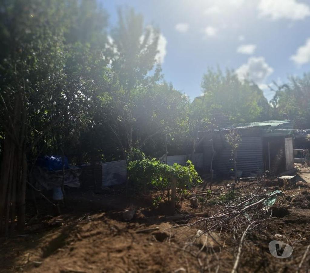 Bienes Raices Osorno Osorno - Fotos de Vendo Terreno 