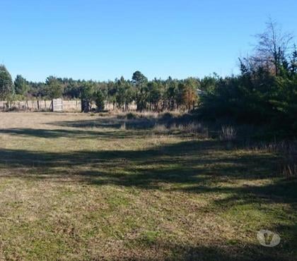 Terrenos Cunco Cautín - Fotos de Vende parcela 2 Hás con casa sector las Hortensias