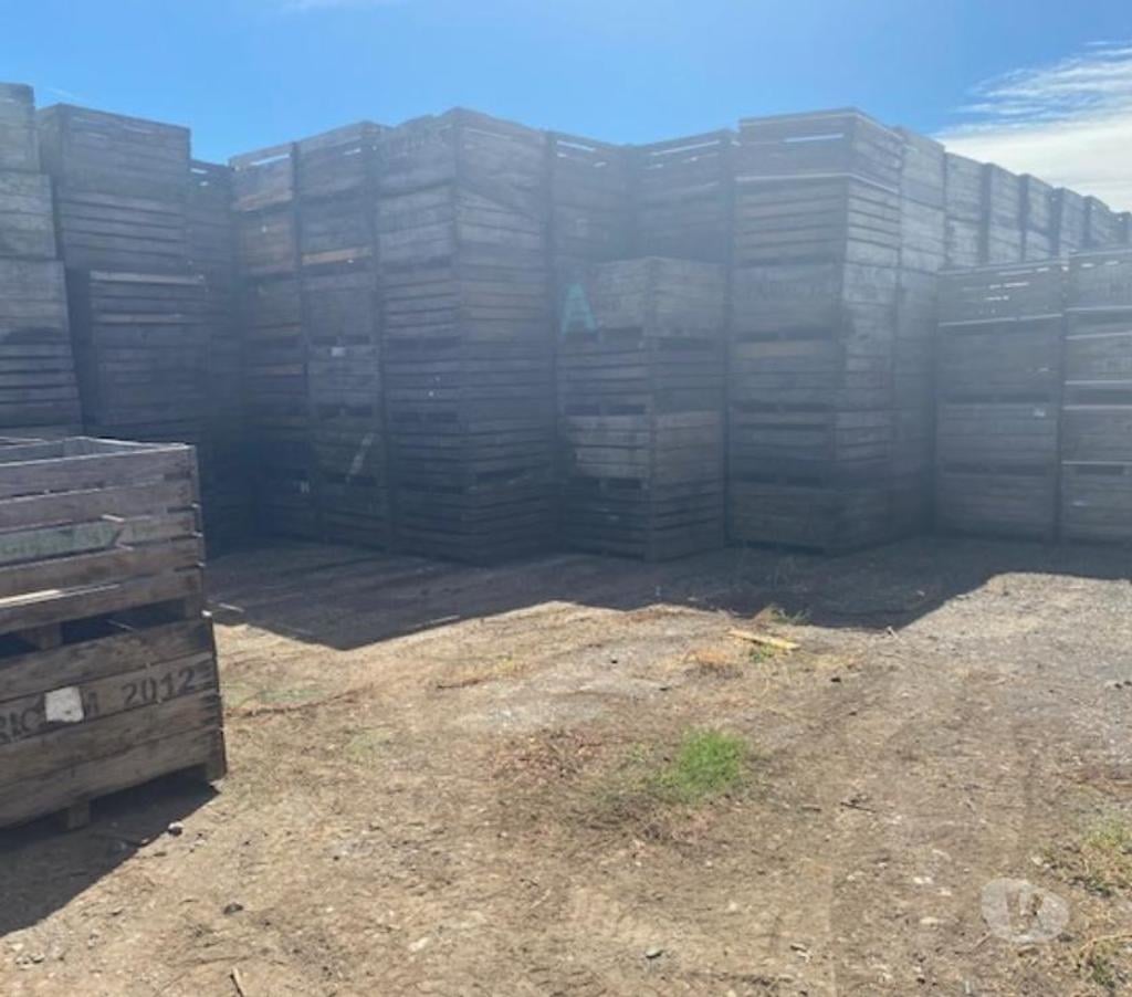Venta de Haciendas Curicó Curicó - Fotos de Campo de 13 hás en Curicó Cerezas, Manzanas y Frigorífico