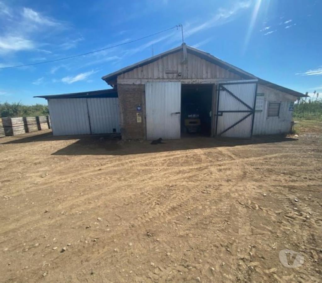 Venta de Haciendas Curicó Curicó - Fotos de Campo de 13 hás en Curicó Cerezas, Manzanas y Frigorífico