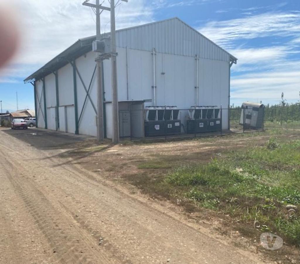 Venta de Haciendas Curicó Curicó - Fotos de Campo de 13 hás en Curicó Cerezas, Manzanas y Frigorífico