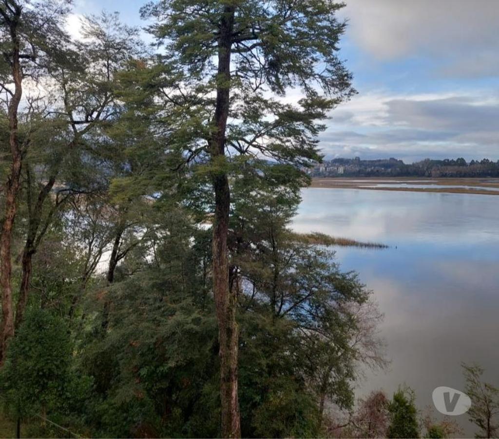 Arriendos Valdivia Valdivia - Fotos de Departamento teja