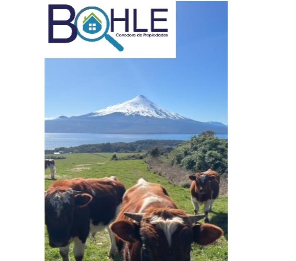 Parcelas en Venta Llanquihue Puerto Varas - Fotos de Vendo Parcela 5000m2 Los Riscos