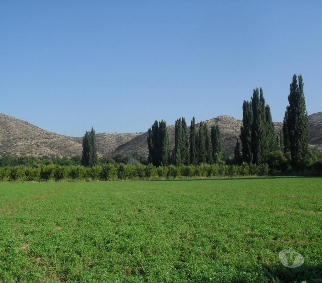 Parcelas en Venta San Felipe de Aconcagua Putaendo - Fotos de TERR 11500 M2 VENTA DIRECTA R. DE SILVA PUTAENDO $ 72 MILLON