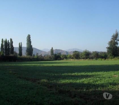 Terrenos Putaendo San Felipe de Aconcagua - Fotos de TERR 11500 M2 VENTA DIRECTA R. DE SILVA PUTAENDO $ 72 MILLON