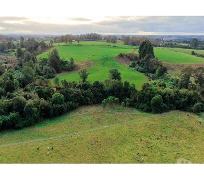 Terrenos en Venta Los Muermos Llanquihue - Fotos de Vende 2 parcelas (colindantes) en Paraguay Chico,Los Muermos