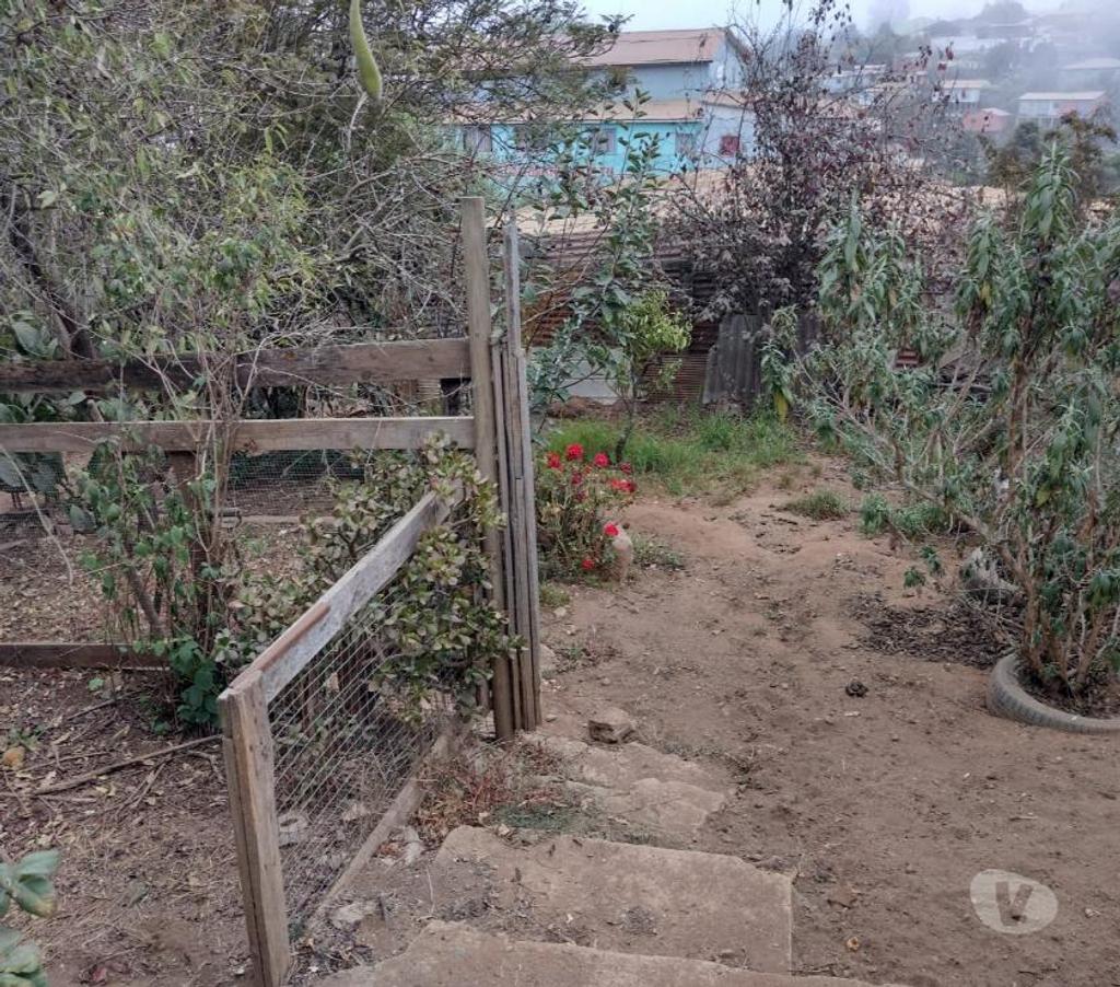 Bienes Raices Valparaíso Viña del Mar - Fotos de 2 casas en terreno 528 m2 Achupallas Viña del Mar