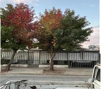 Fotos de SE VENDE PROPIEDAD CALLE YERBAS BUENAS