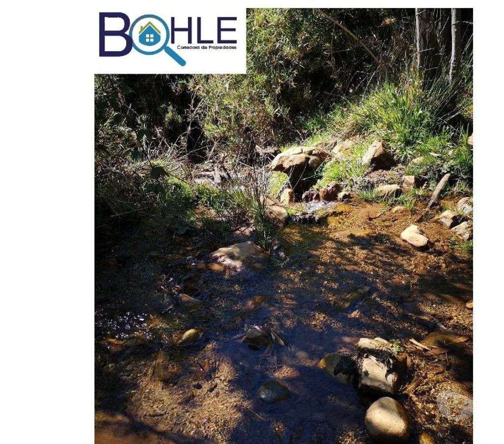 Parcelas en Venta Ranco Futrano - Fotos de Vendo Parcelas de 5.000 mts2 en Futrono