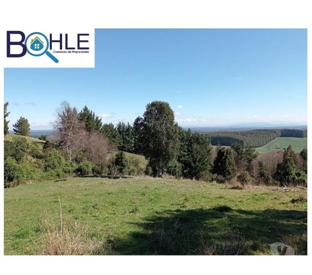 Parcelas en Venta Ranco Futrano - Fotos de Vendo Parcelas de 5.000 mts2 en Futrono