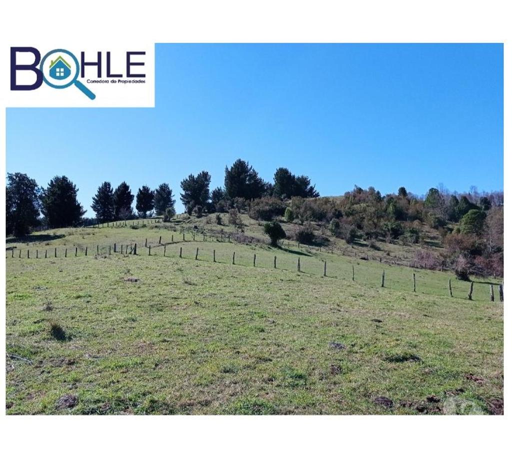 Parcelas en Venta Ranco Futrano - Fotos de Vendo Parcelas de 5.000 mts2 en Futrono