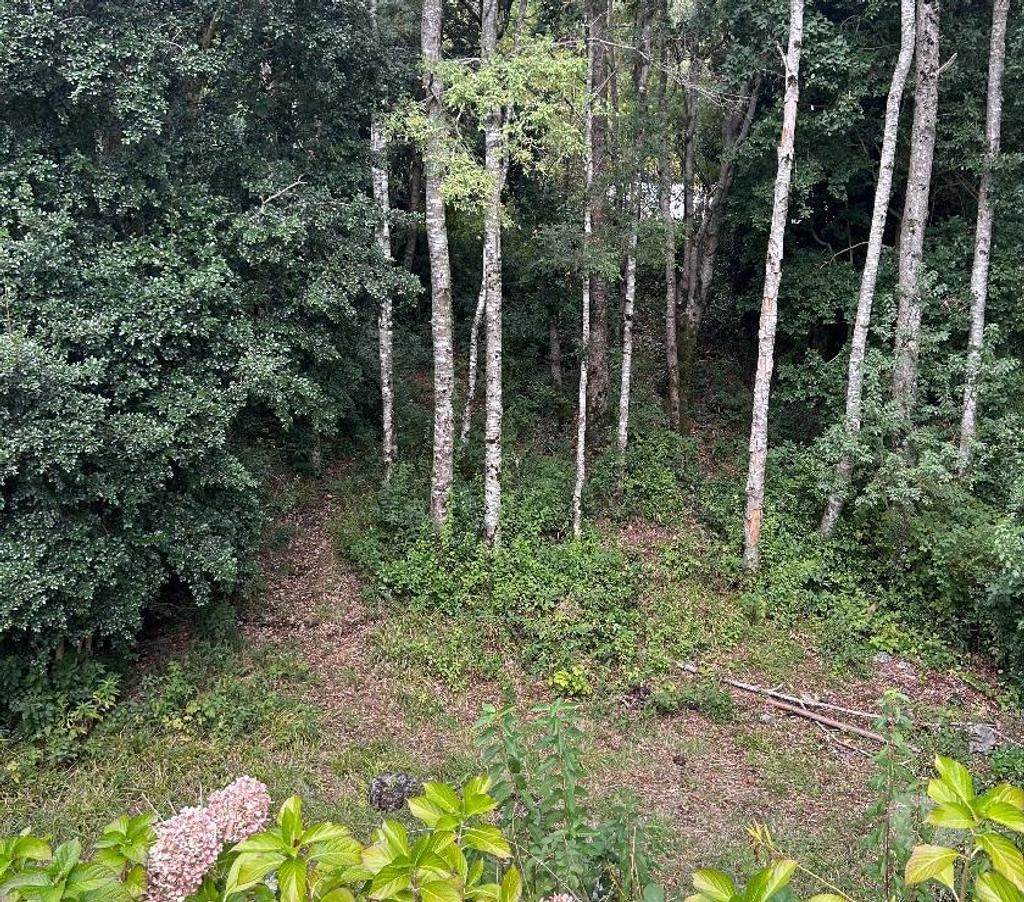 Bienes Raices Cautín Villarrica - Fotos de Vendo casa en Lican Ray a 200 Mts de playa privada