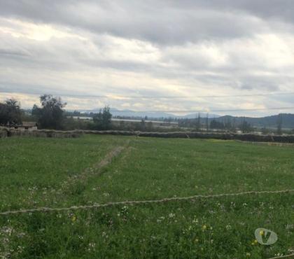 Terrenos Teno Curicó - Fotos de Muy Conveniente Parcela de 28.600 M2 en Teno-Curicó