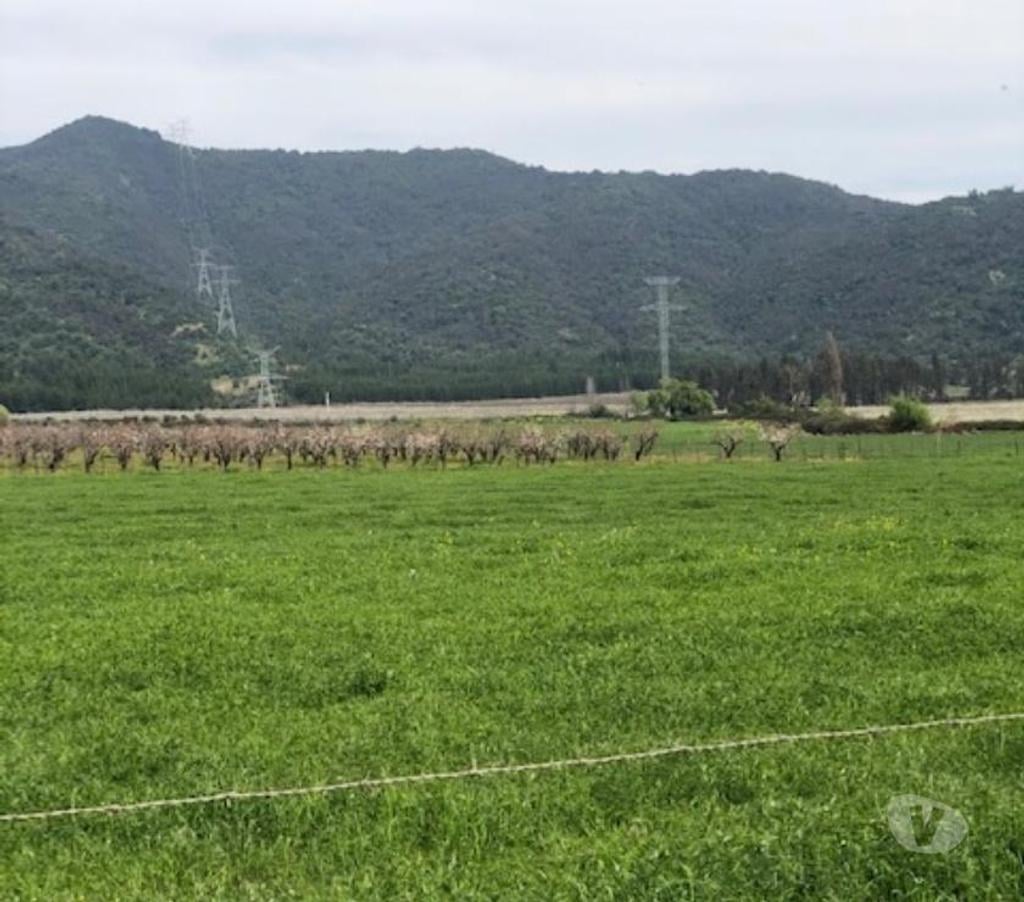 Venta de Haciendas Curicó Teno - Fotos de Precioso Campo de 37 hás Apto para Frutales y loteos en Teno
