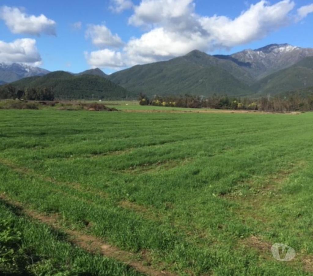 Venta de Haciendas Curicó Teno - Fotos de Precioso Campo de 37 hás Apto para Frutales y loteos en Teno