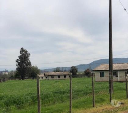 Campos en Venta Teno Curicó - Fotos de Precioso Campo de 37 hás Apto para Frutales y loteos en Teno