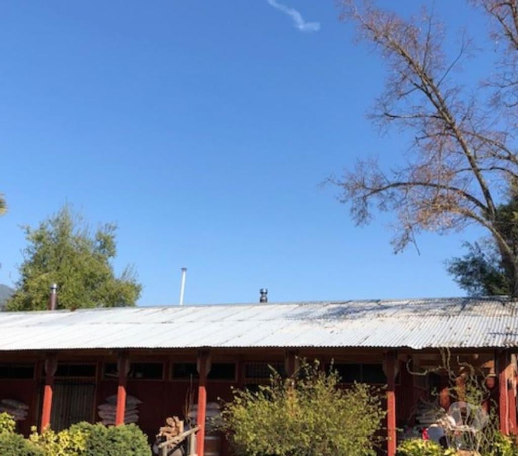 Venta de Haciendas Curicó Teno - Fotos de Precioso Campo de 48 hás. Con Arándanos en Teno-Curicó