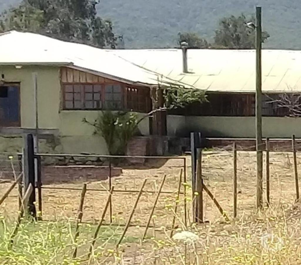 Venta de Haciendas Curicó Teno - Fotos de Precioso Campo de 48 hás. Con Arándanos en Teno-Curicó