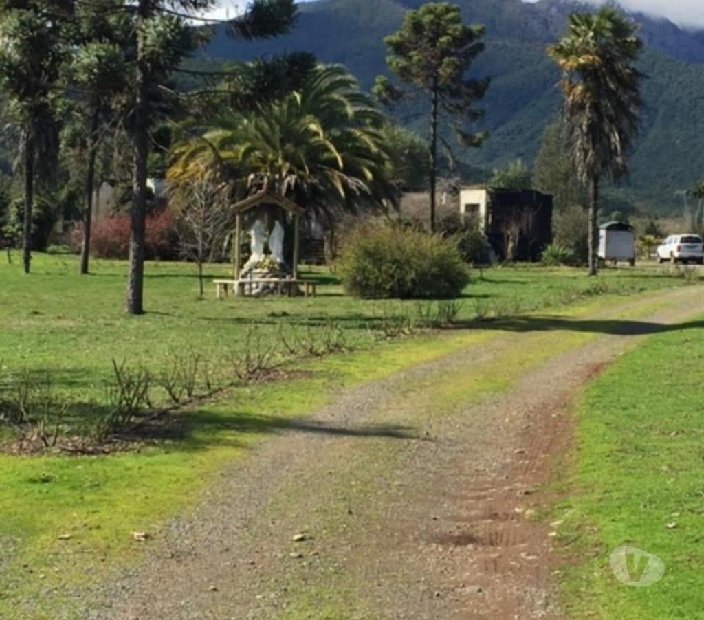 Venta de Haciendas Curicó Teno - Fotos de Precioso Campo de 48 hás. Con Arándanos en Teno-Curicó
