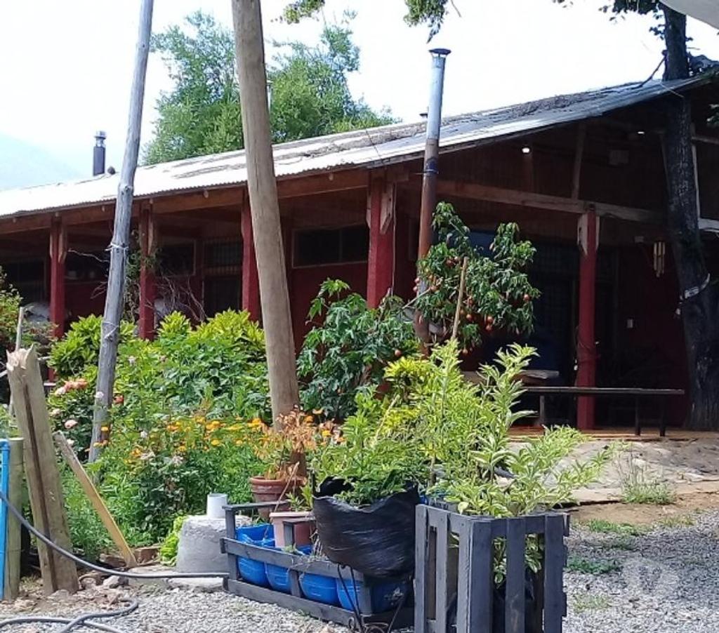 Venta de Haciendas Curicó Teno - Fotos de Precioso Campo de 48 hás. Con Arándanos en Teno-Curicó
