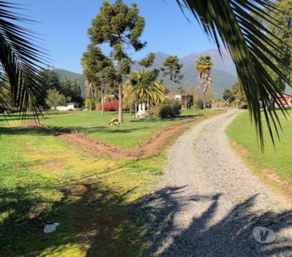 Venta de Haciendas Curicó Teno - Fotos de Precioso Campo de 48 hás. Con Arándanos en Teno-Curicó