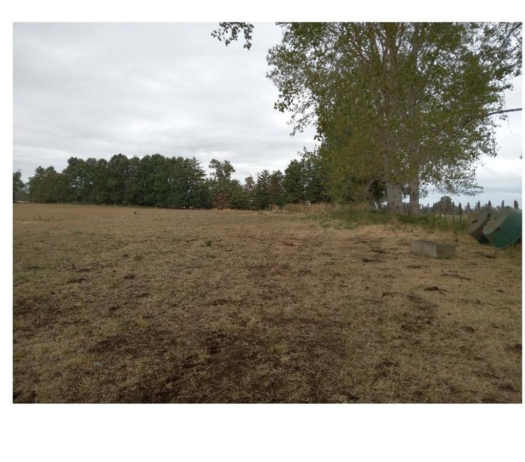 Parcelas en Venta Osorno Río Negro - Fotos de VENDO PÁRCELA SECTOR BUENAVENTURA, OSORNO