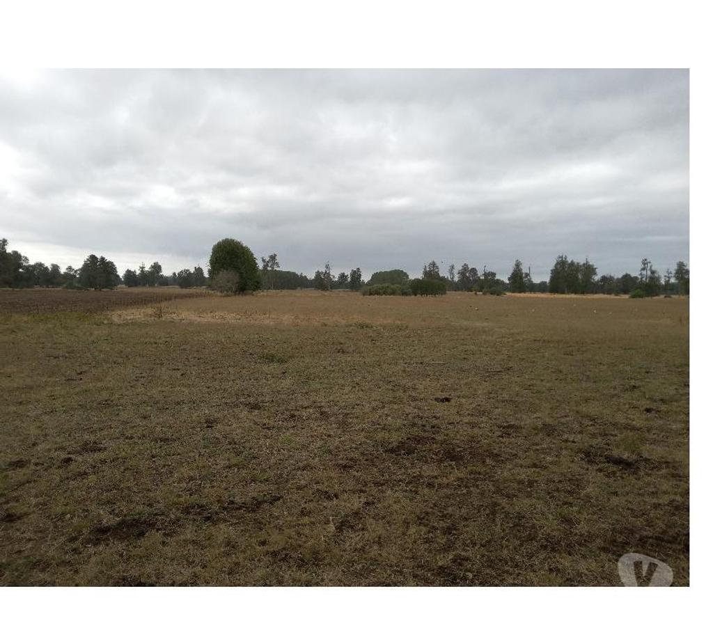 Parcelas en Venta Osorno Río Negro - Fotos de VENDO PÁRCELA SECTOR BUENAVENTURA, OSORNO
