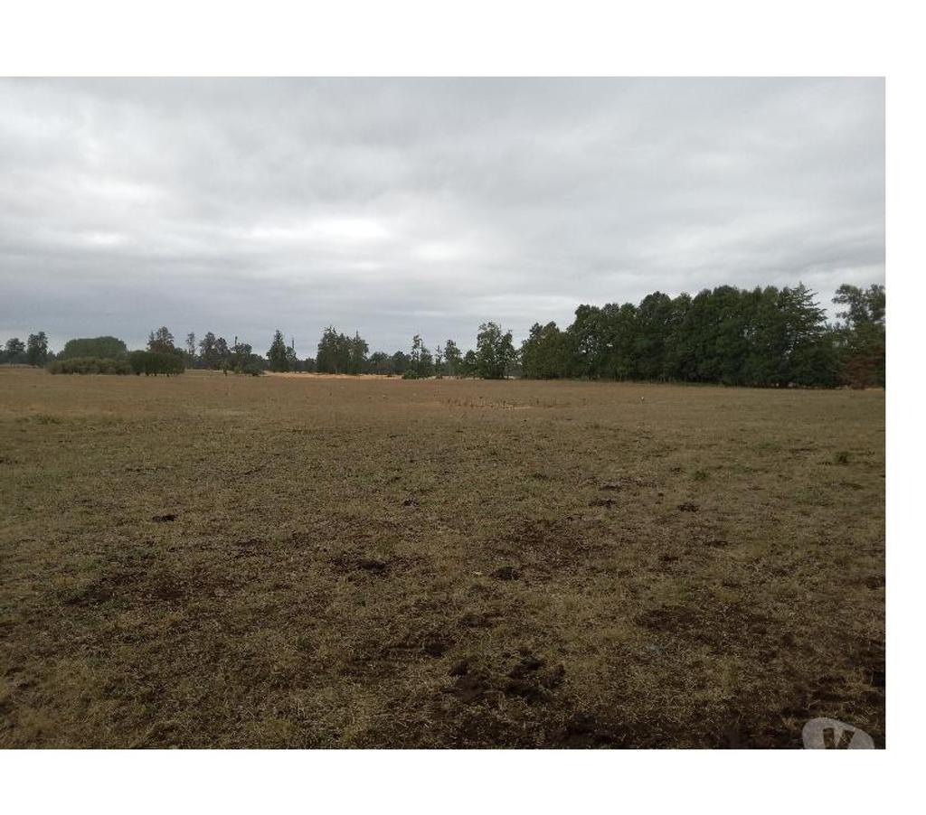 Parcelas en Venta Osorno Río Negro - Fotos de VENDO PÁRCELA SECTOR BUENAVENTURA, OSORNO