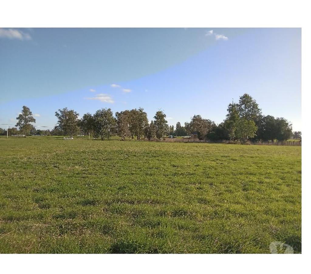 Parcelas en Venta Osorno Río Negro - Fotos de PARCELAS LOTEO EL ESTERO, SECTOR BUENAVENTURA, OSORNO