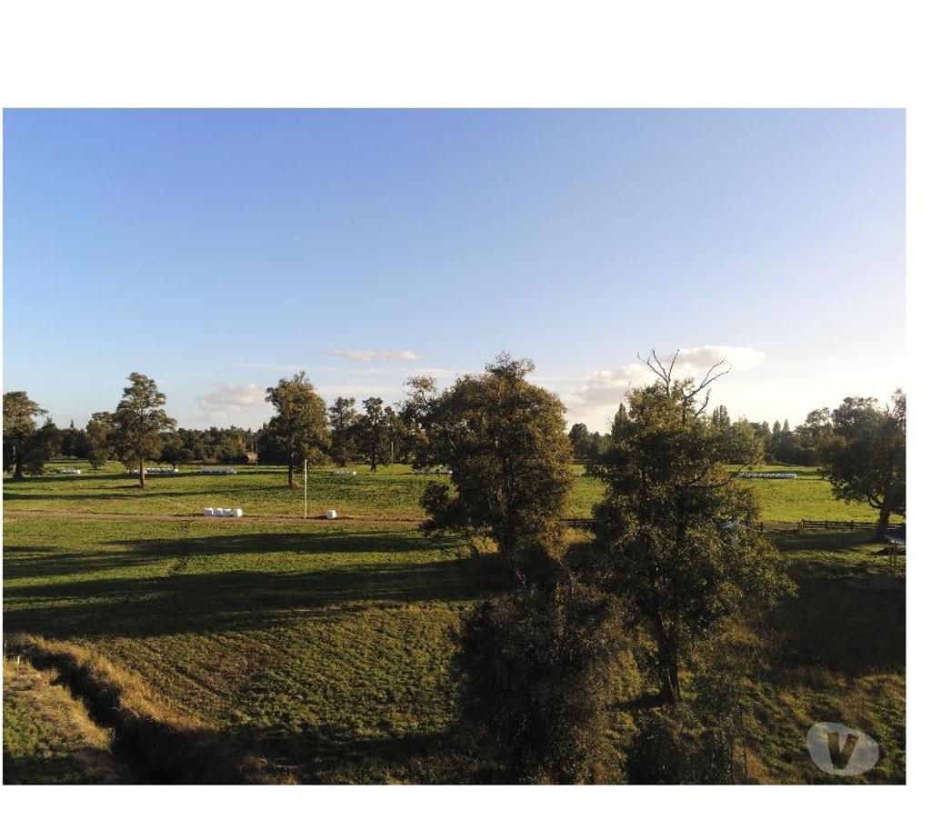 Parcelas en Venta Osorno Río Negro - Fotos de PARCELAS LOTEO EL ESTERO, SECTOR BUENAVENTURA, OSORNO