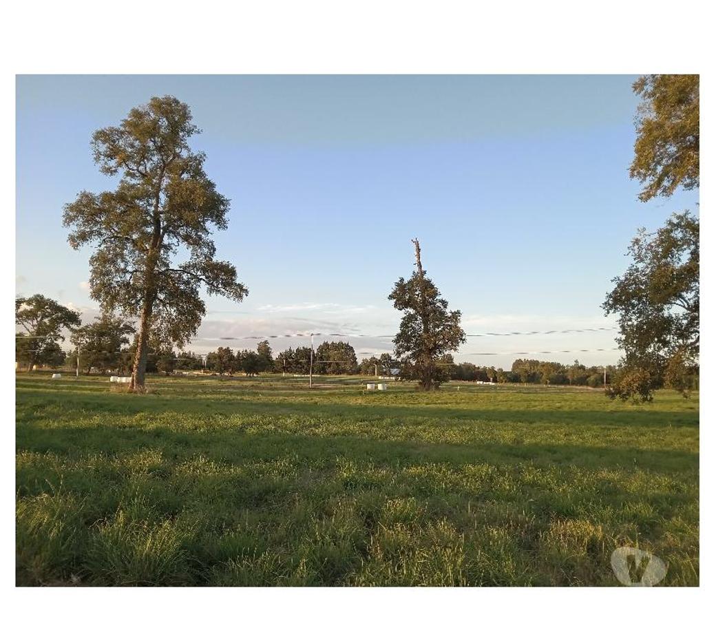 Parcelas en Venta Osorno Río Negro - Fotos de PARCELAS LOTEO EL ESTERO, SECTOR BUENAVENTURA, OSORNO