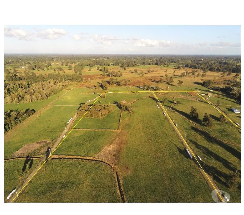 Parcelas en Venta Osorno Río Negro - Fotos de PARCELAS LOTEO EL ESTERO, SECTOR BUENAVENTURA, OSORNO