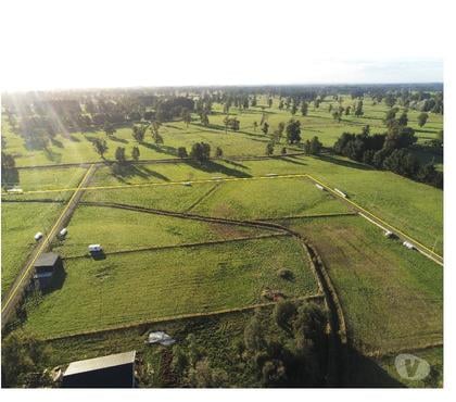Terrenos-Parcelas Río Negro Osorno - Fotos de PARCELAS LOTEO EL ESTERO, SECTOR BUENAVENTURA, OSORNO