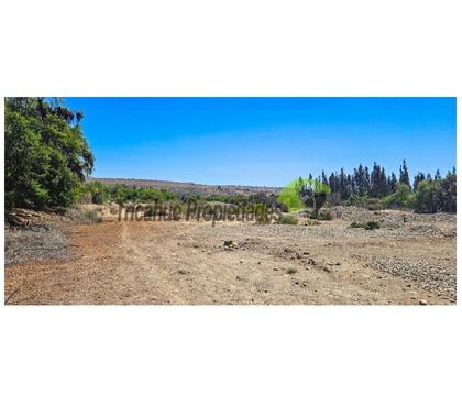 Terrenos Ovalle Limarí - Fotos de Terreno de 9 hectáreas en San Julian, Ovalle. $180 mm