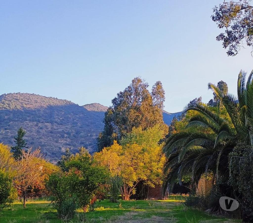 Parcelas en Venta Cachapoal San Vicente - Fotos de Linda parcela de agrado en sector El Tambo, VI Región.
