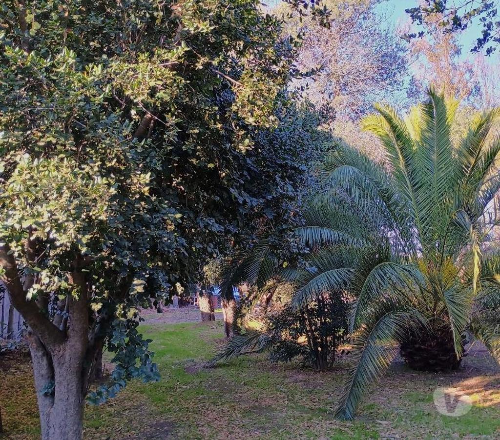 Parcelas en Venta Cachapoal San Vicente - Fotos de Maravillosa parcela de agrado en sector El Tambo