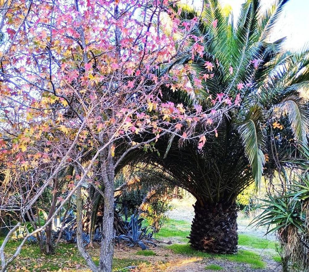 Parcelas en Venta Cachapoal San Vicente - Fotos de Maravillosa parcela de agrado en sector El Tambo