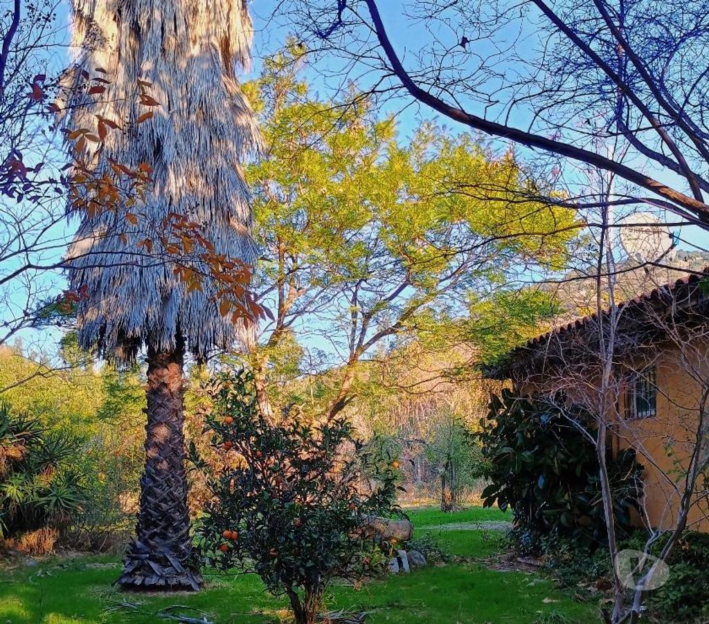 Parcelas en Venta Cachapoal San Vicente - Fotos de Maravillosa parcela de agrado en sector El Tambo