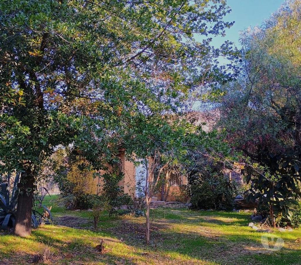 Parcelas en Venta Cachapoal San Vicente - Fotos de Maravillosa parcela de agrado en sector El Tambo