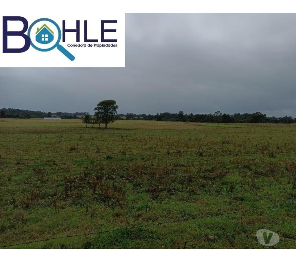 Bienes Raices Llanquihue Fresia - Fotos de VENDO - Campo 205 Ha en Fresia